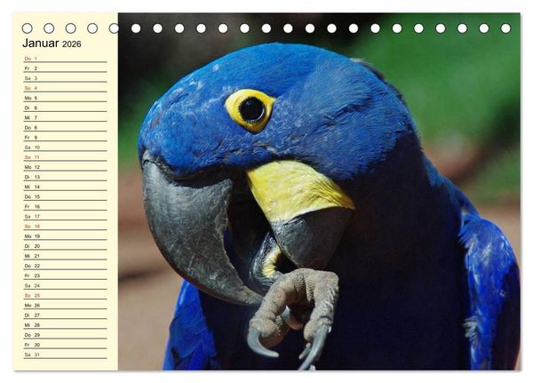 Produktbild: Brasilien. Faszinierend und gro&szlig; wie ein Kontinent (Tischkalender 2026 DIN A5 quer), CALVENDO Monatskalender