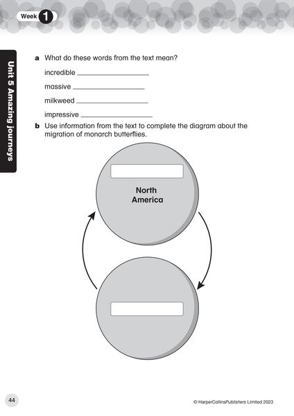 Produktbild: Collins International Primary English