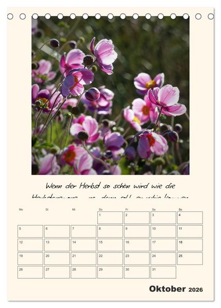 Produktbild: Gartengeschichten (Tischkalender 2026 DIN A5 hoch), CALVENDO Monatskalender