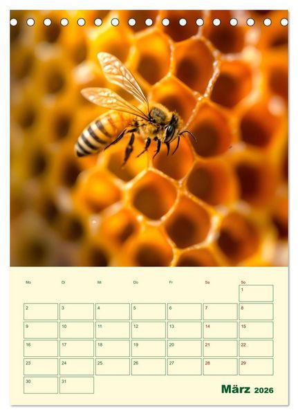 Produktbild: Bienenblick &ndash; Ein Jahr mit den Bienen (Tischkalender 2026 DIN A5 hoch), CALVENDO Monatskalender