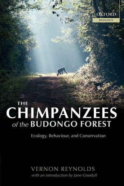 Produktbild: The Chimpanzees of the Budongo Forest