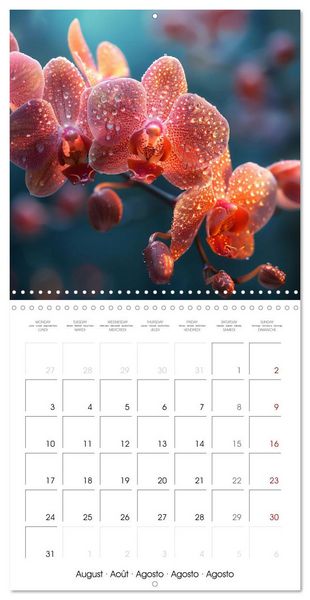 Produktbild: colorful orchid family planner (Wall Calendar 2026 12 &times; 12 Inch) CALVENDO 12 Month Wall Calendar
