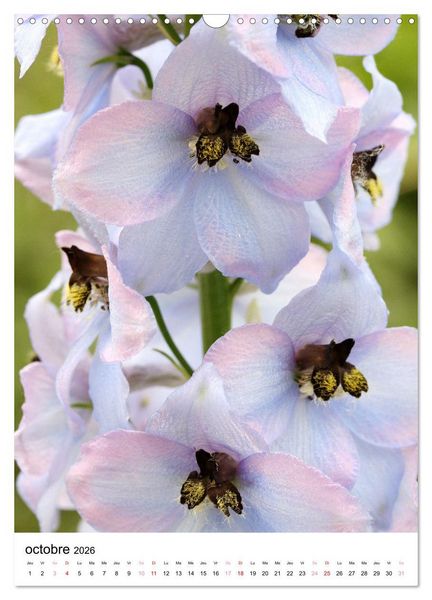 Produktbild: Joie avec des fleurs (Calendrier mural 2026 DIN A3 horizontal), CALVENDO calendrier mensuel