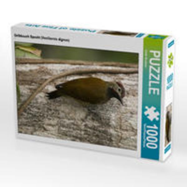 CALVENDO Puzzle Gelbbauch Specht (Veniliornis dignus) | 1000 Teile Lege-Größe 64x48cm Foto-Puzzle für glückliche Stunden