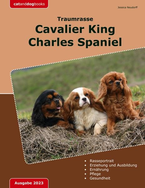 Produktbild: Traumrasse: Cavalier King Charles Spaniel