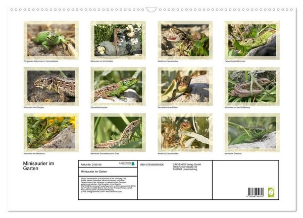 Produktbild: Minisaurier im Garten (Wandkalender 2027 DIN A2 quer), CALVENDO Monatskalender