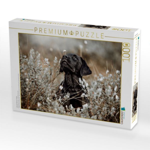 Produktbild: CALVENDO Puzzle Labrador Retriever Welpe | 1000 Teile Lege-Gr&ouml;&szlig;e 64x48cm Foto-Puzzle f&uuml;r gl&uuml;ckliche Stunden