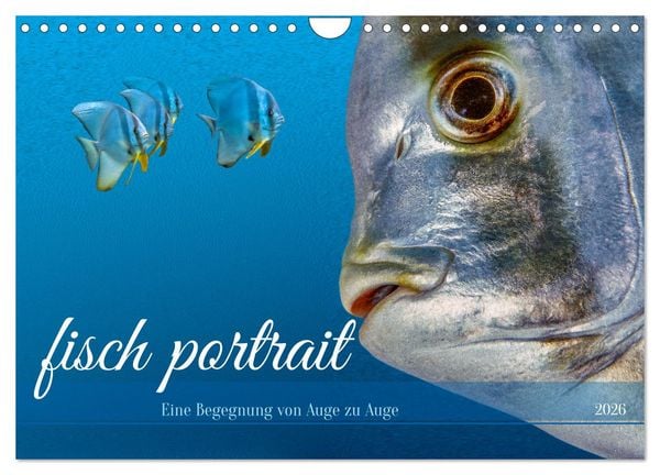Produktbild: fisch portrait (Wandkalender 2026 DIN A4 quer), CALVENDO Monatskalender
