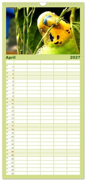 Produktbild: Familienplaner 2027 - Wellensittiche mit 5 Spalten (Wandkalender, 21 x 45 cm) CALVENDO