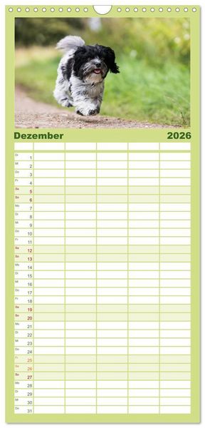Produktbild: Familienplaner 2026 - Spa&szlig; mit Havanesern mit 5 Spalten (Wandkalender, 21 x 45 cm) CALVENDO