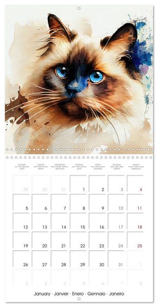 Produktbild: Artistic Cat Breeds (Wall Calendar 2026 12 &times; 12 Inch) CALVENDO 12 Month Wall Calendar