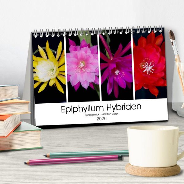 Produktbild: Epiphyllum-Hybriden (Tischkalender 2026 DIN A5 quer), CALVENDO Monatskalender