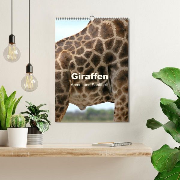 Produktbild: Giraffen - Anmut und Sanftheit (Wandkalender 2027 DIN A3 hoch), CALVENDO Monatskalender