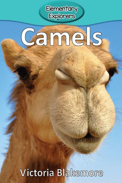 Produktbild: Camels