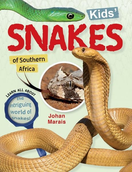 Produktbild: Kids' snakes of Southern Africa