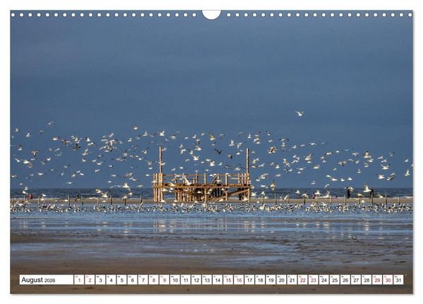 Produktbild: Impressionen aus Sankt Peter-Ording (Wandkalender 2026 DIN A3 quer), CALVENDO Monatskalender