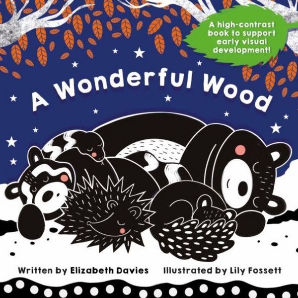 Produktbild: A Wonderful Wood: A Black-and-White High-Contrast Storybook for Newborns and Children aged 0-5