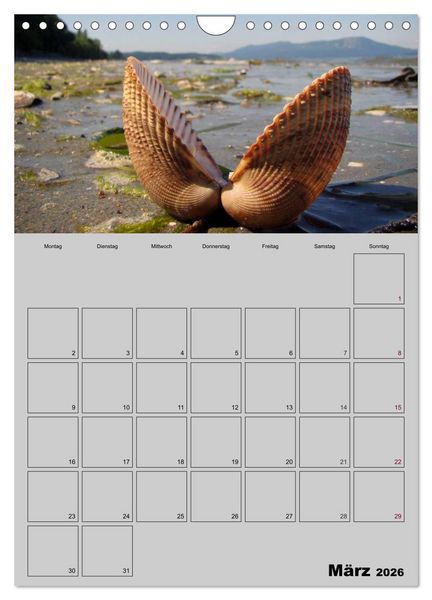 Produktbild: Zeitgewinn (Mein Terminplaner) (Wandkalender 2026 DIN A4 hoch), CALVENDO Monatskalender