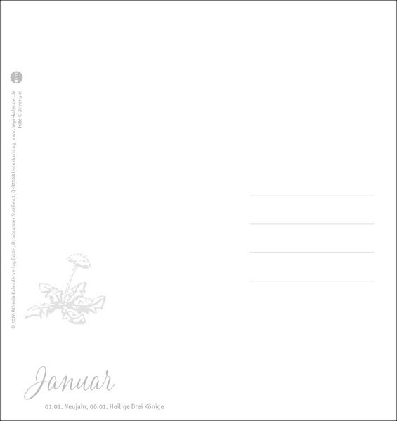 Produktbild: Kuschelige Meerschweinchen Postkartenkalender 2027