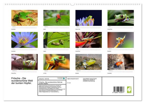 Produktbild: Fr&ouml;sche - Die wundersch&ouml;ne Welt der bunten H&uuml;pfer. (Wandkalender 2026 DIN A2 quer), CALVENDO Monatskalender