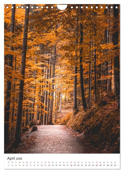 Produktbild: Herbstliches Allg&auml;u (Wandkalender 2026 DIN A4 hoch), CALVENDO Monatskalender