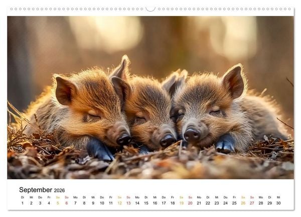 Produktbild: Wenn Tierchen tr&auml;umen (hochwertiger Premium Wandkalender 2026 DIN A2 quer), Kunstdruck in Hochglanz