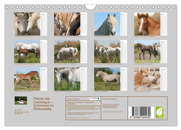 Produktbild: Pferde der Camargue &ndash; Schimmel im Rh&ocirc;nedelta (Wandkalender 2027 DIN A4 quer), CALVENDO Monatskalender