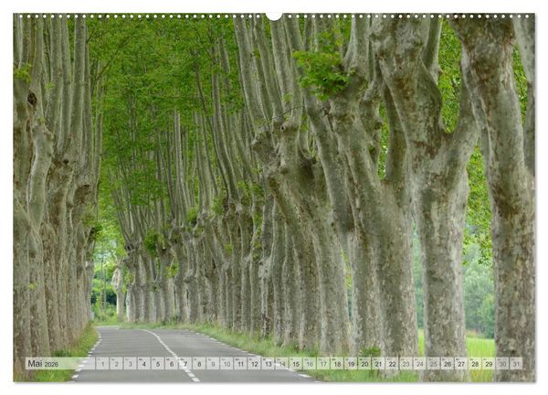 Produktbild: Provence von Christian Heeb (hochwertiger Premium Wandkalender 2026 DIN A2 quer), Kunstdruck in Hochglanz
