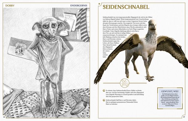 Produktbild: Aus den Filmen zu Harry Potter: Zeichenschule - Zeichne die Zauberwelt Schritt f&uuml;r Schritt