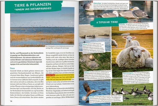 Produktbild: MARCO POLO OUTDOOR GUIDE Reisef&uuml;hrer Nordseek&uuml;ste Schleswig-Holstein