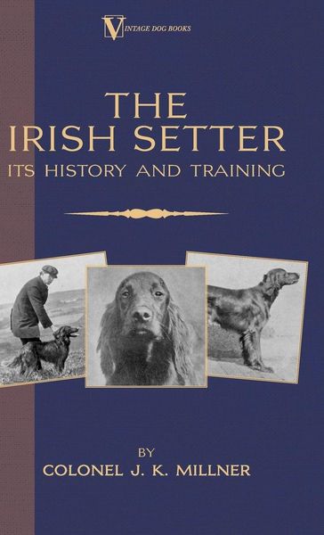 Produktbild: The Irish Setter - Its History & Training (A Vintage Dog Books Breed Classic)