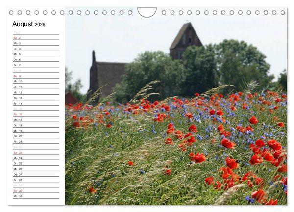 Produktbild: Vier Jahreszeiten im Land Brandenburg (Wandkalender 2026 DIN A4 quer), CALVENDO Monatskalender