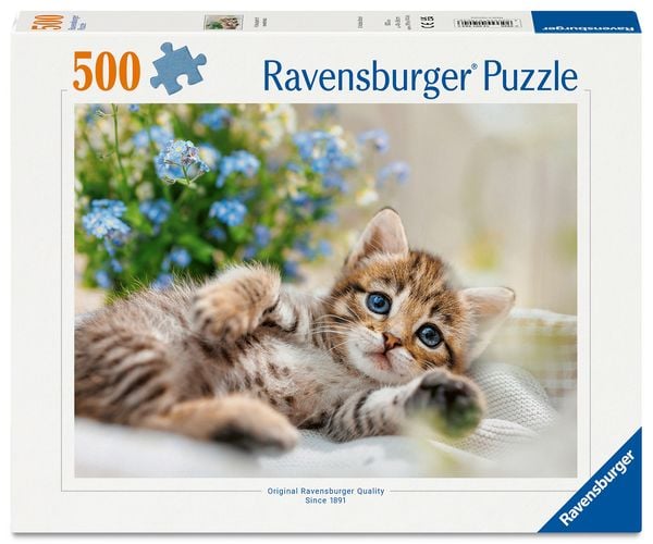 Erwachsenenpuzzle 500 Teile - Süßes Kätzchen