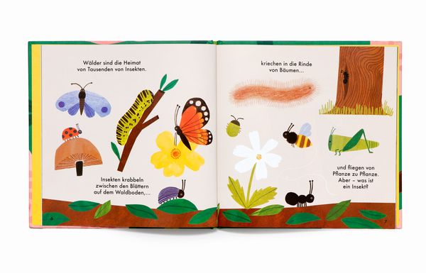 Wunderbarer Wald: Insekten und Blumen