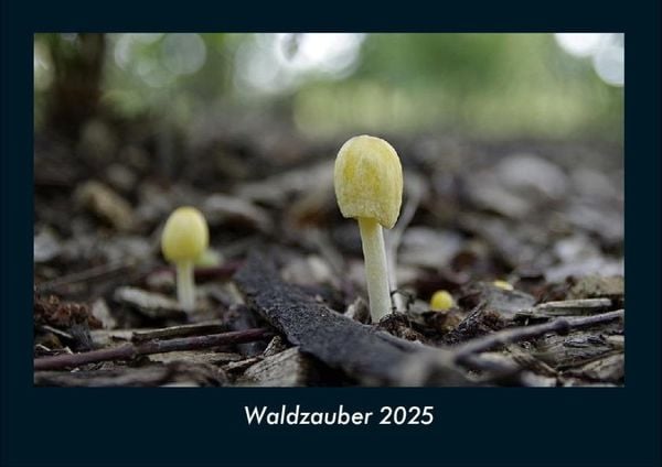 Produktbild: Waldzauber 2025 Fotokalender DIN A4