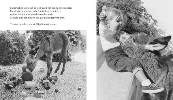 Produktbild: Mein Esel Benjamin (Mini-Ausgabe)
