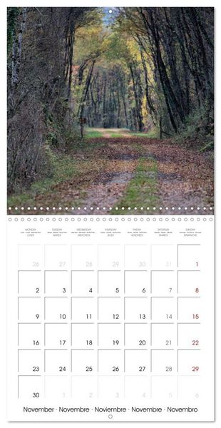 Produktbild: Les couleurs de la Vienne (Calendrier mural carr&eacute; 2026 30x30 cm) Calendrier double avec une page pour vos prises de notes