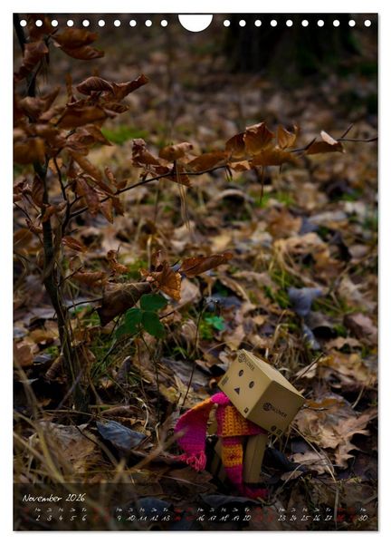 Produktbild: Ein Jahr voller Danbo (Wandkalender 2026 DIN A4 hoch), CALVENDO Monatskalender
