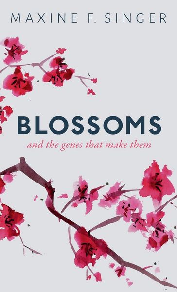 Produktbild: Blossoms C