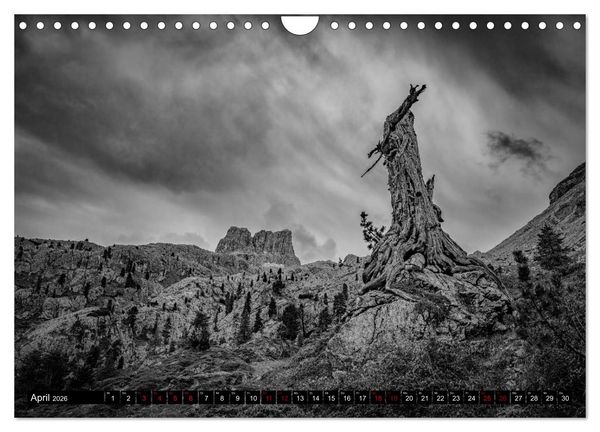 Produktbild: Dramatik in SW (Wandkalender 2026 DIN A4 quer), CALVENDO Monatskalender