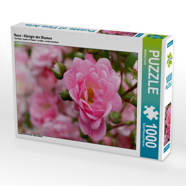Produktbild: CALVENDO Puzzle Rose - K&ouml;nigin der Blumen | 1000 Teile Lege-Gr&ouml;&szlig;e 64x48cm Foto-Puzzle f&uuml;r gl&uuml;ckliche Stunden