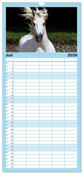 Produktbild: Familienplaner 2026 - Wei&szlig;e Pferde der Camargue in Bayern mit 5 Spalten (Wandkalender, 21 x 45 cm) CALVENDO