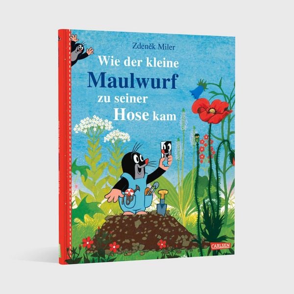 Produktbild: Wie der kleine Maulwurf zu seiner Hose kam