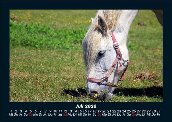 Produktbild: Die Welt der Pferde 2026 Fotokalender DIN A5