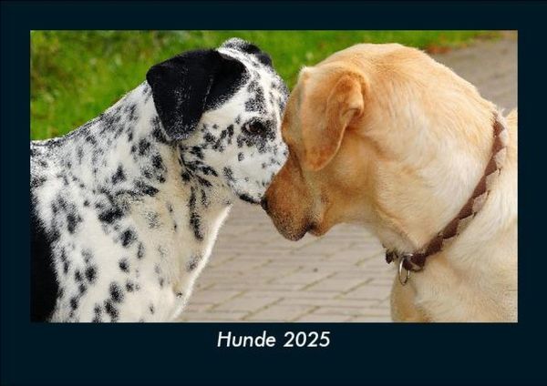 Hunde 2025 Fotokalender DIN A5