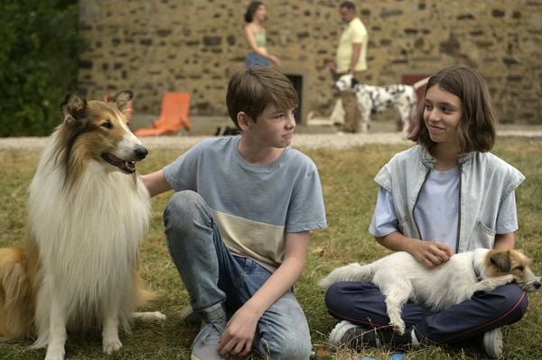 Produktbild: Lassie - Ein neues Abenteuer