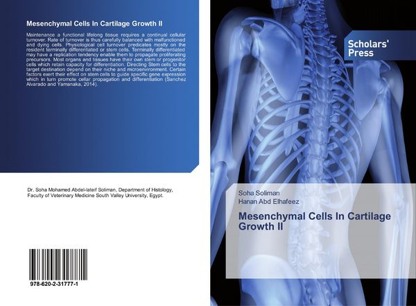 Produktbild: Mesenchymal Cells In Cartilage Growth II