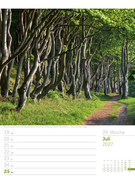Produktbild: Unser Wald Wochenplaner Kalender 2027