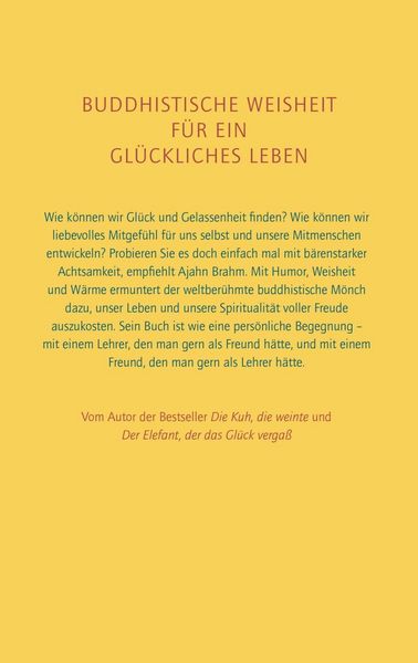 Produktbild: Wie hilft der B&auml;r beim Gl&uuml;cklichsein?