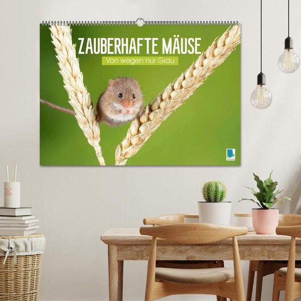 Produktbild: Zauberhafte M&auml;use: Von wegen nur Grau (Wandkalender 2026 DIN A2 quer), CALVENDO Monatskalender